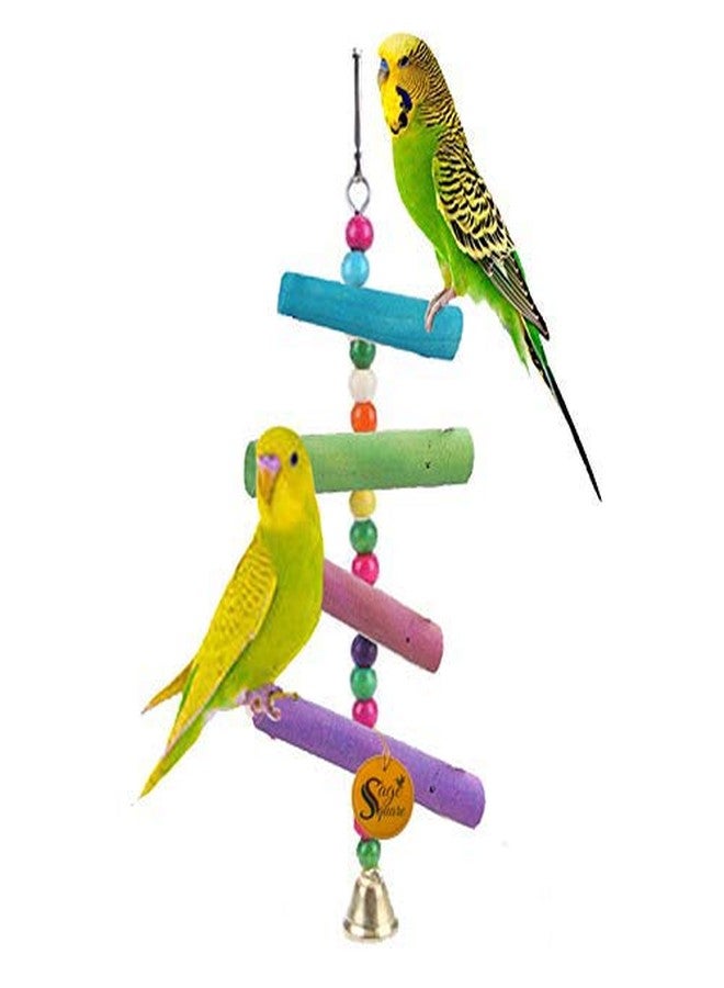 Sage Square Playful Natural Wood Hanging Toy Cage Accessories for Cockatiel, Lovebird, Budgerigar, Canary, Budgeri Birds - Image 1